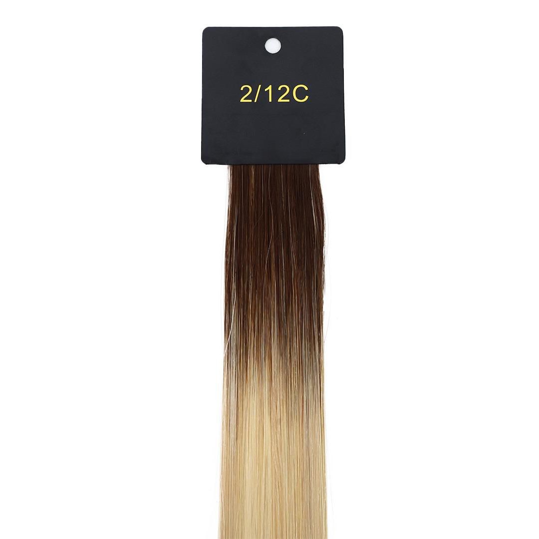 GENIUS WEFT 100 GRAMS Hair Extensions - Macchiato Ombre 2/12C
